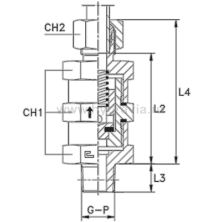 Обратный клапан ввертной с наружной резьбой BSPT в сборе с B3